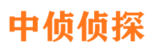 长丰市私家侦探